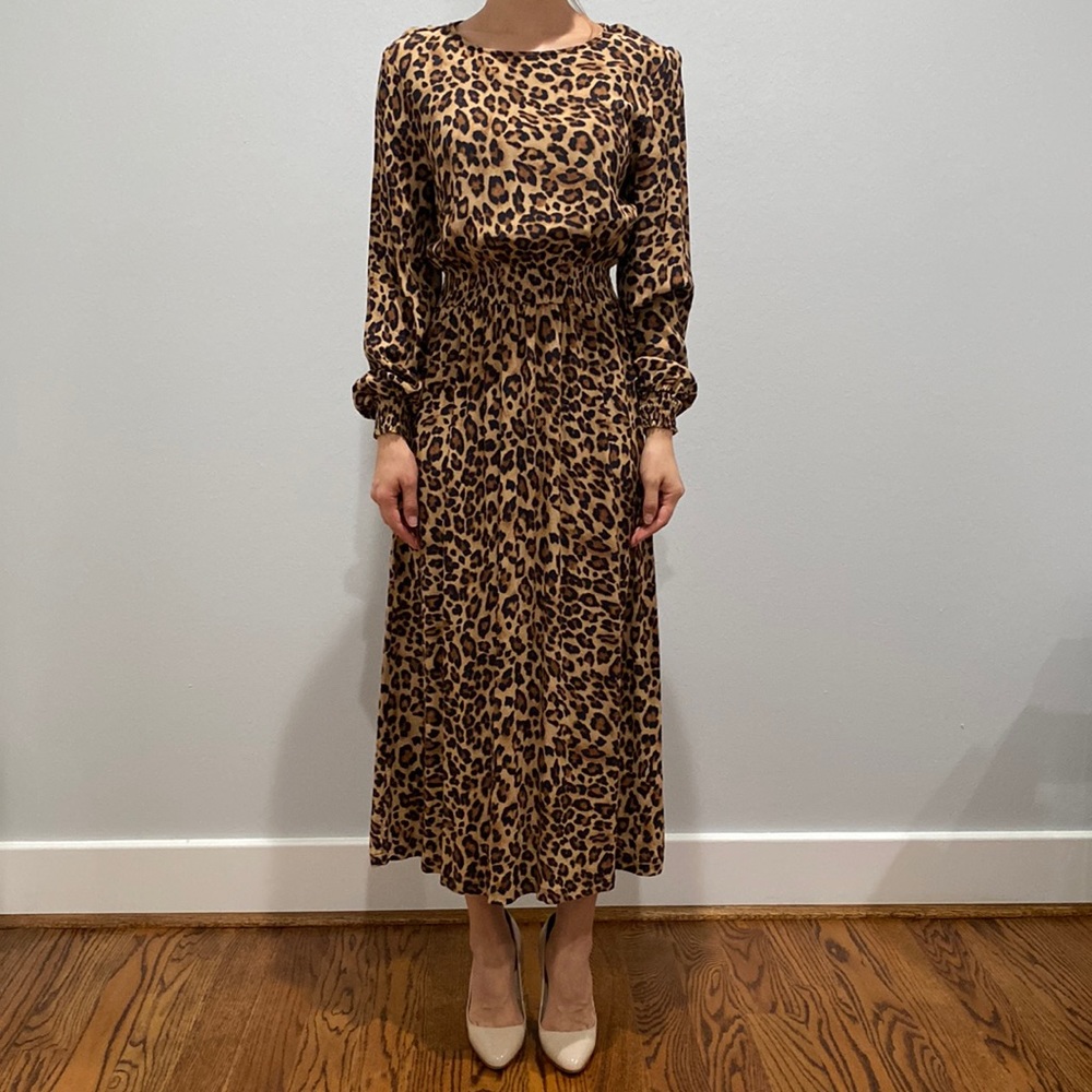 Midi Zara dress
